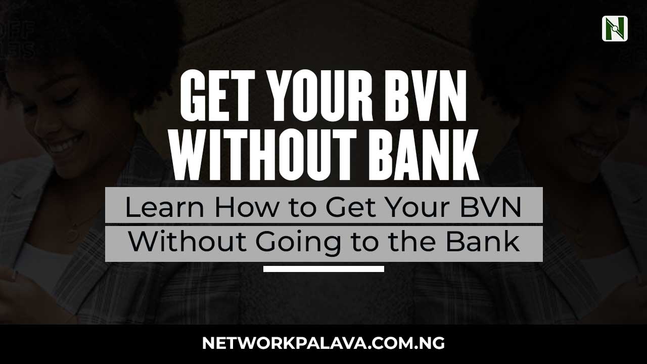 how-to-get-a-bvn-without-going-to-the-bank-network-palava