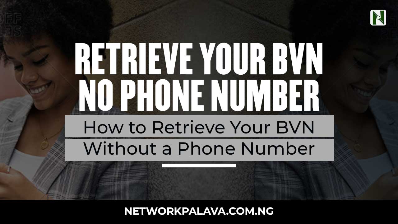 how-to-retrieve-your-bvn-without-a-phone-number-network-palava